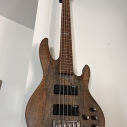 LTD Premium Bass Guitar