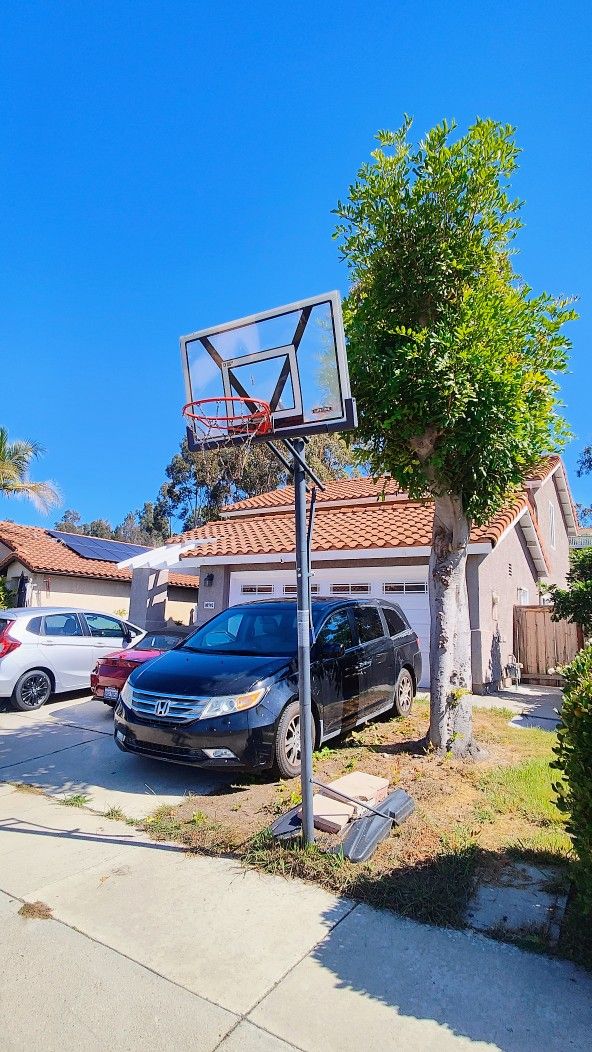 Free Basketball Hoop