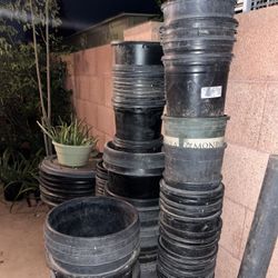 Plastic Black Buckets Many Available For Sale Planter Plants Nursery