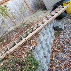 Werner  24 ft. Fiberglass Extension Ladder with 300 lbs. Load Capacity Type IA Duty Rating  