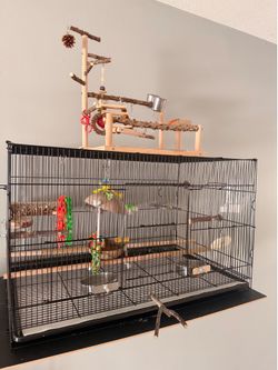 parrot cage