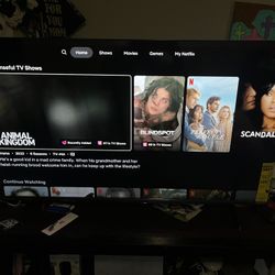 Vizio 43 Inch Tv