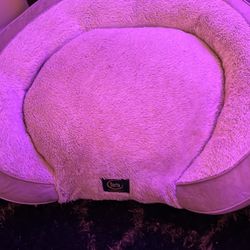Serta Pet bed