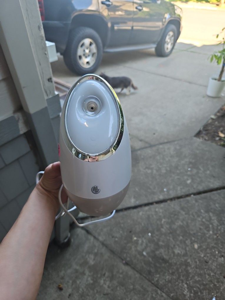 Face Steamer