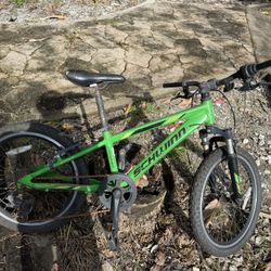 Schwinn Mountain Bike