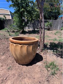 Extra large pot