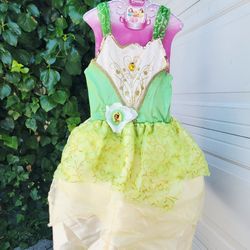 Disney Princess Dress 