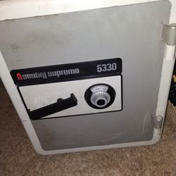 Home Sentry Safe 
