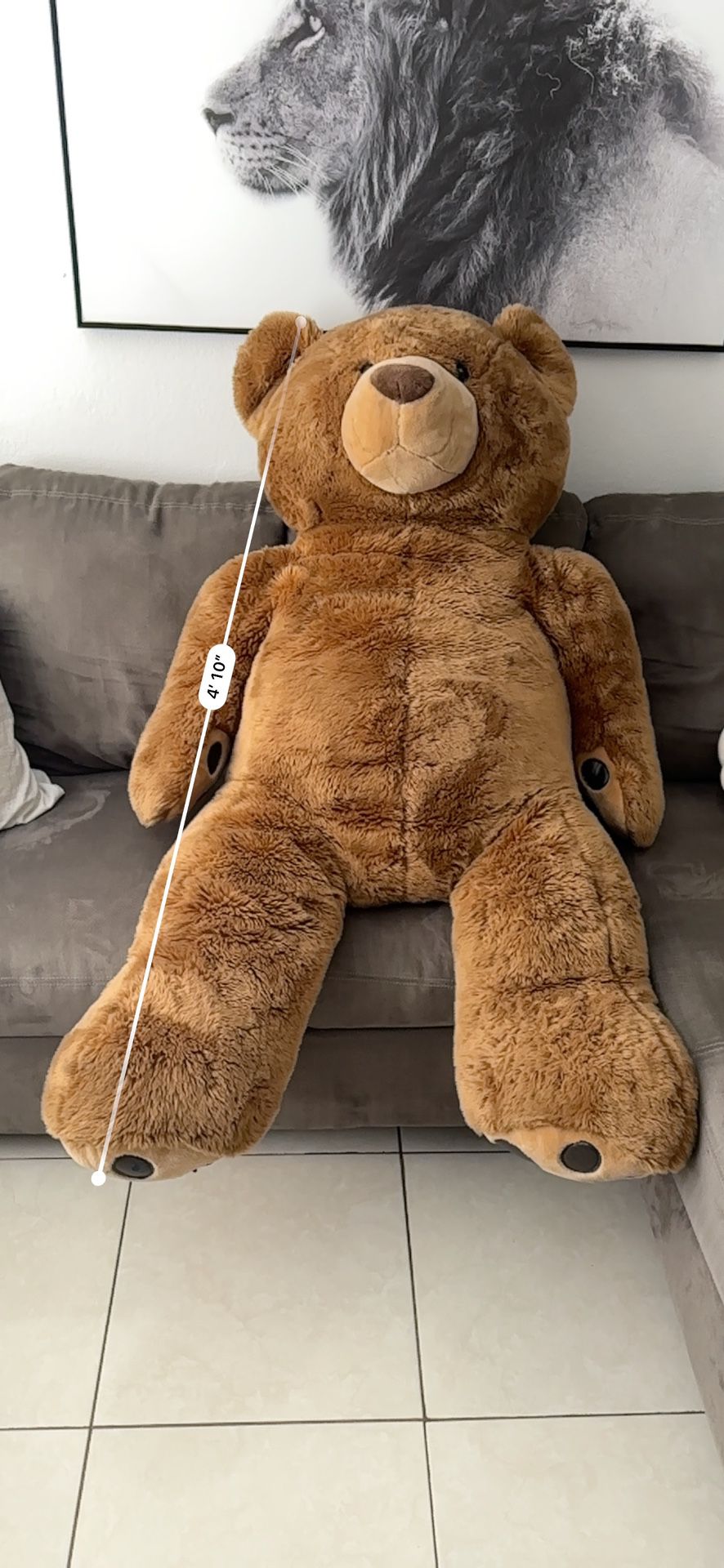 Teddy Bear 
