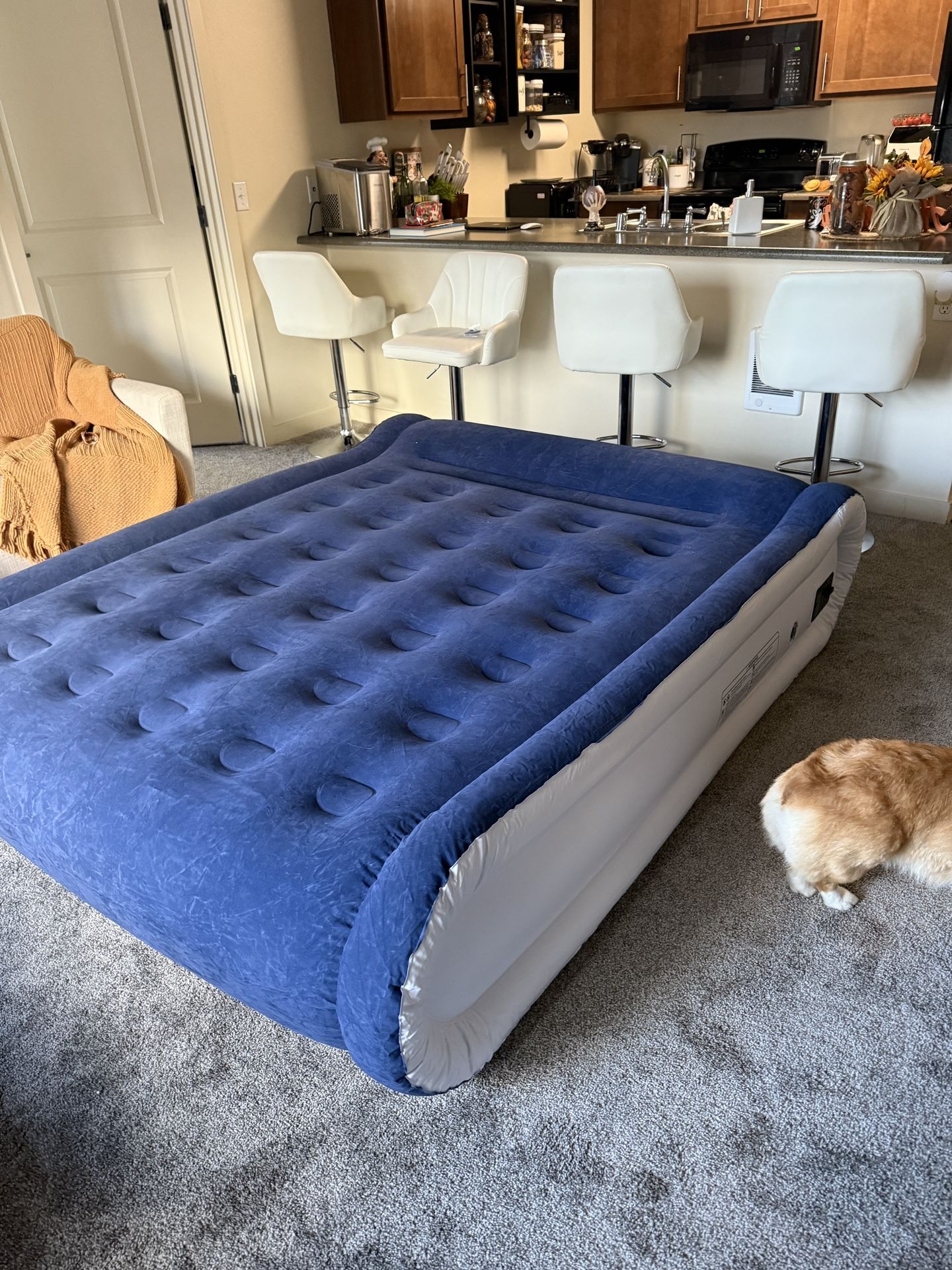 Inflatable Air Mattress w/ Built-In Pump – Almost New!