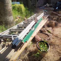 Two Ladders! 40bucks 