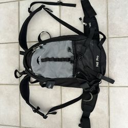 Da Kine backpack