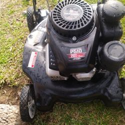 Push Lawn Mower Bag  less $75 Fitme