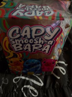 🔥 PPNC Capy Smoosh-a Bara Squishy Squeeze Squeezy Sensory Toy Brand New