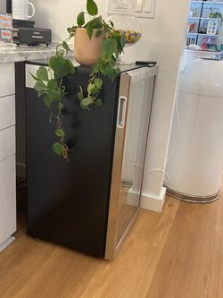 Wine  Fridge / mini refrigerator