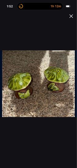 Vintage Mushroom Shakers