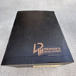 Per4mance Development DIRS and Race Brace Dodge Challenger/Charger Hellcat/Scatpack/300 RWD