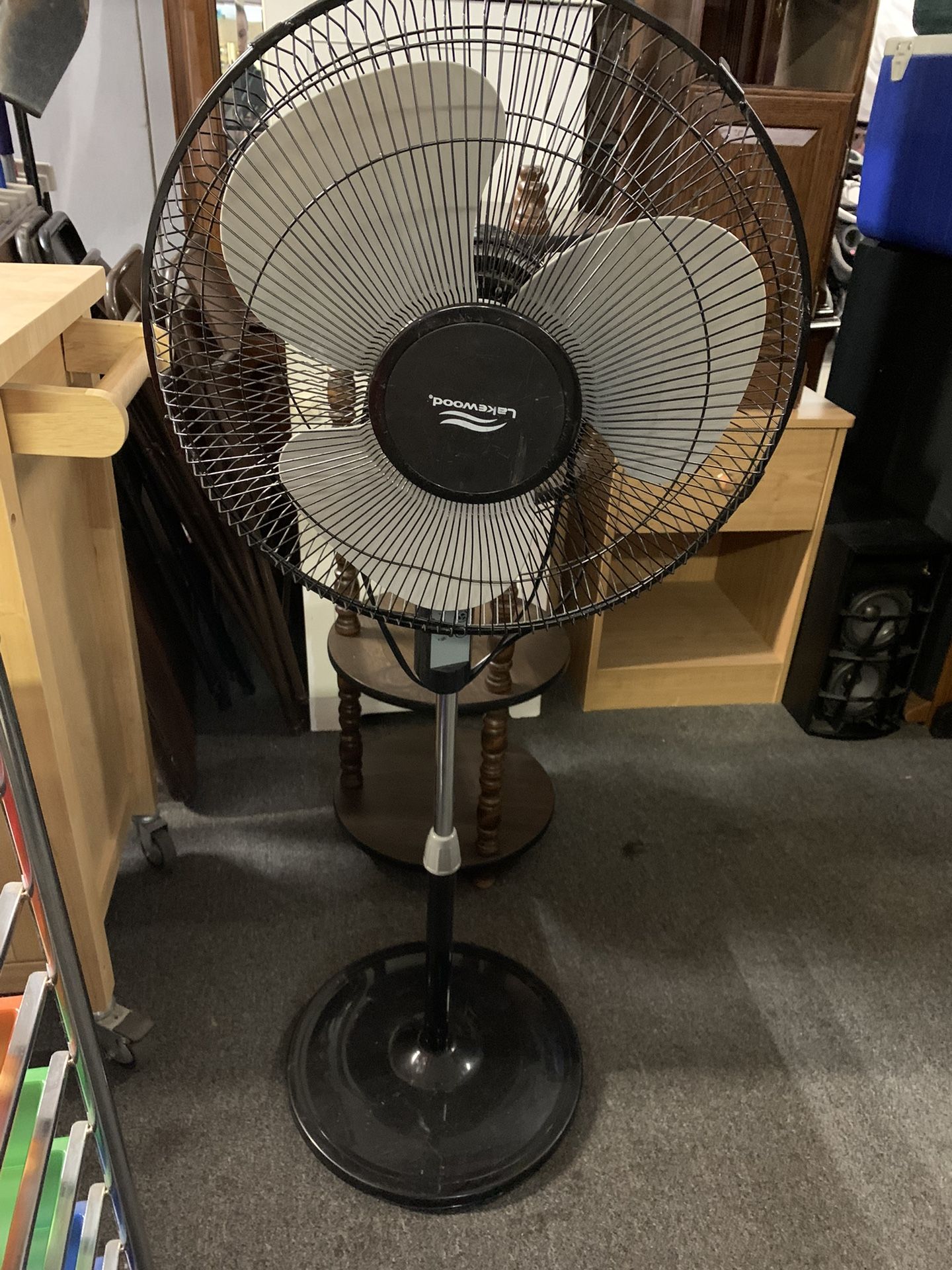 Oscillating Fan 