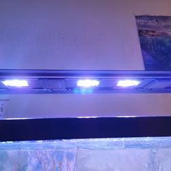 Maxspect Razor 200watt