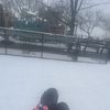 Unknownreup