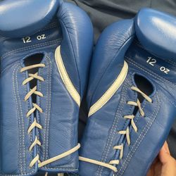 Winning Boxing Gloves