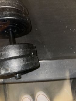 Single Weights Take All For 20$