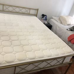 Cama Dorada Y Colchón Full 