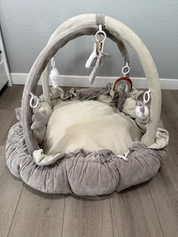Baby Activity Play Gym Mat with Arches
