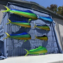 Mahi Mahi, Dorado Metal Wall Art By Akai Art Works