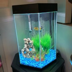 20 GALLON OCTAGON FISH TANK