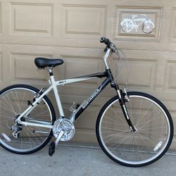 Hybrid bike