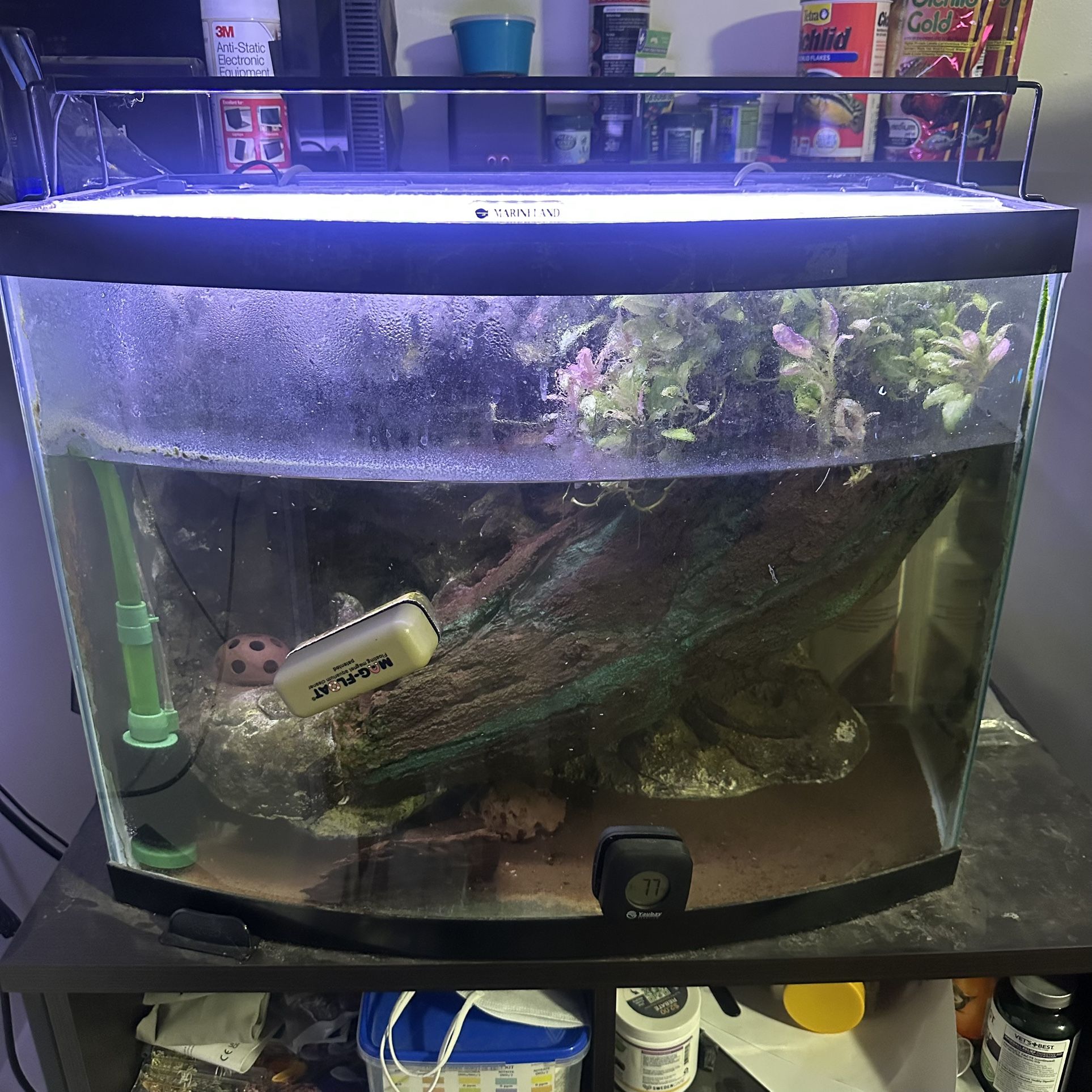 29 Gallon Paludarium Aquarium Fish Tank Terrarium