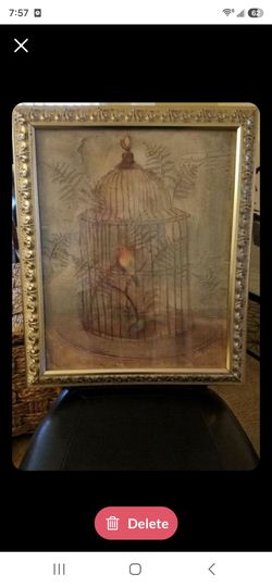 Bird In Cage Picture and Frame