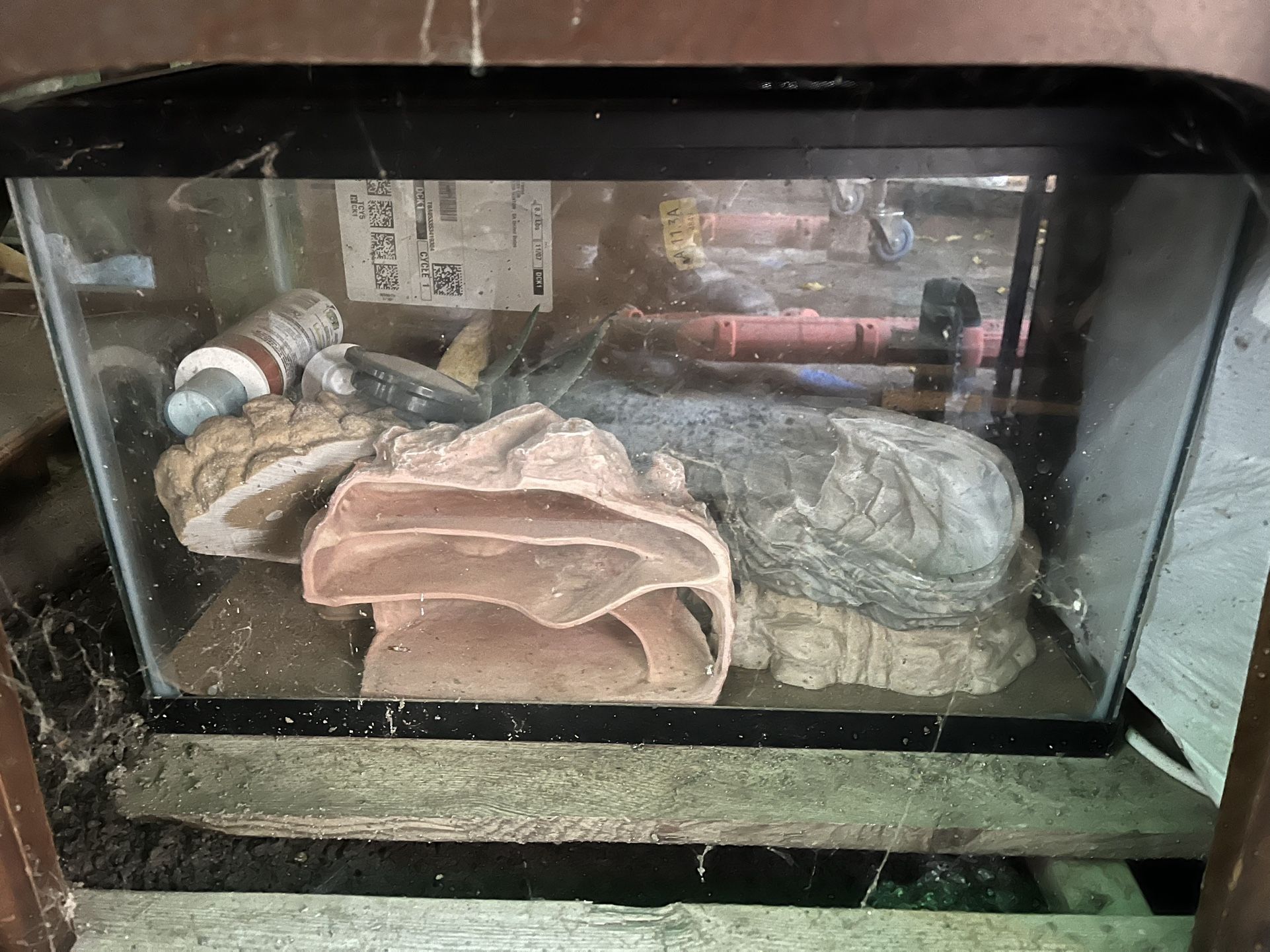 Reptile Tank