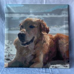 Golden Retriever Dog 16x16”