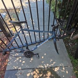 Bianchi  Roadbike Frame $100