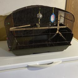 Bird Cage