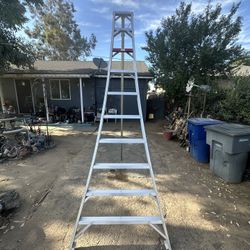 10 Foot Aluminum Ladder