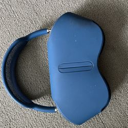 Apple Headphones 
