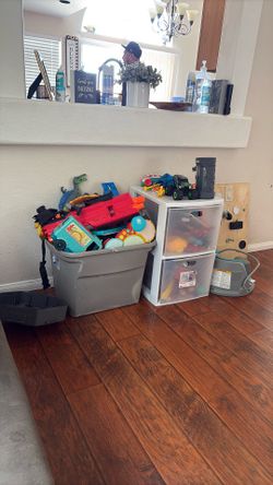Kids Toys 