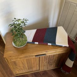 Sliding Cabinet / Small TV stand
