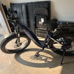 Aventon Aventure 2 Step-Through E-Bike Size L