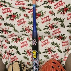 Usssa Softball Bat And Softball Gloves