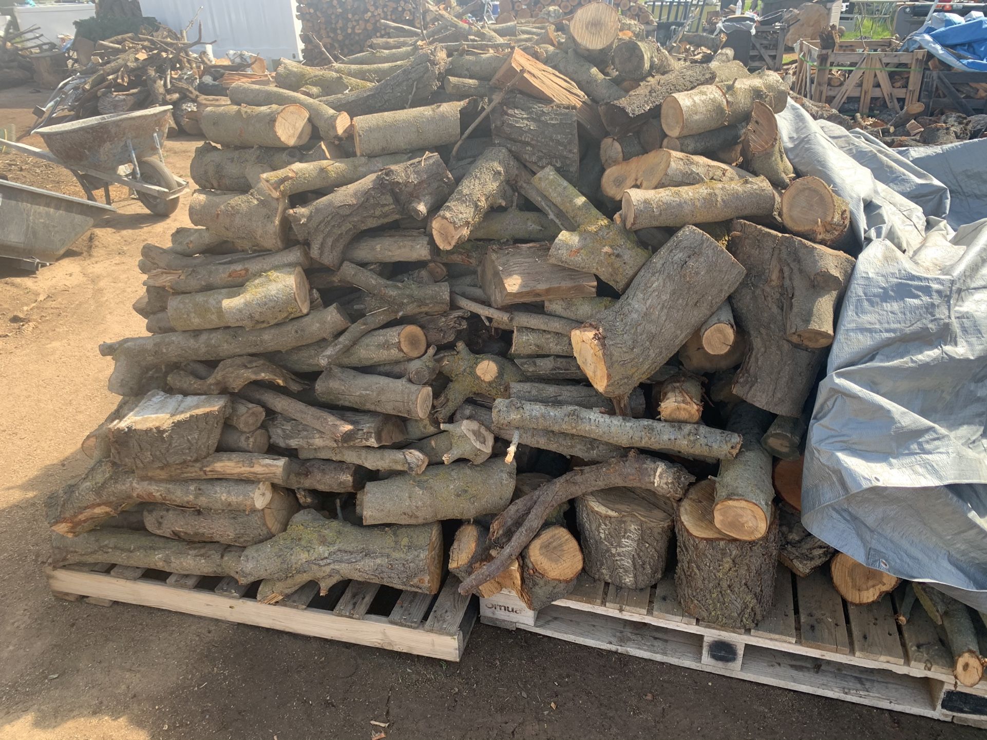 Dry Firewood!!!On The Go!!!