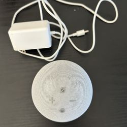 Amazon Alexa Speaker Works