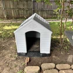 Dog House