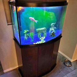 36 Gallon Fish Tank With Stand 