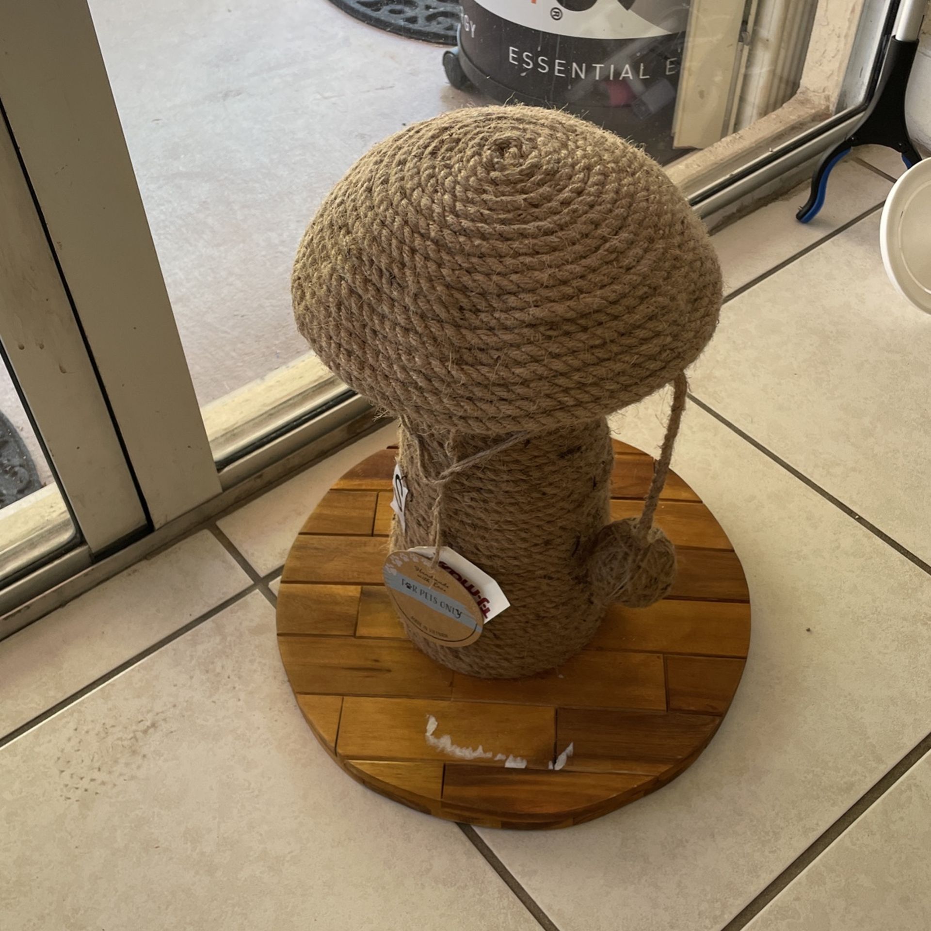 New Mushroom Cat Scratcher