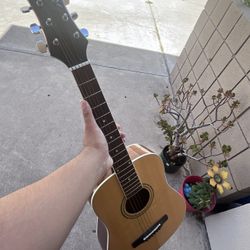 Mitchell Guitar 100$