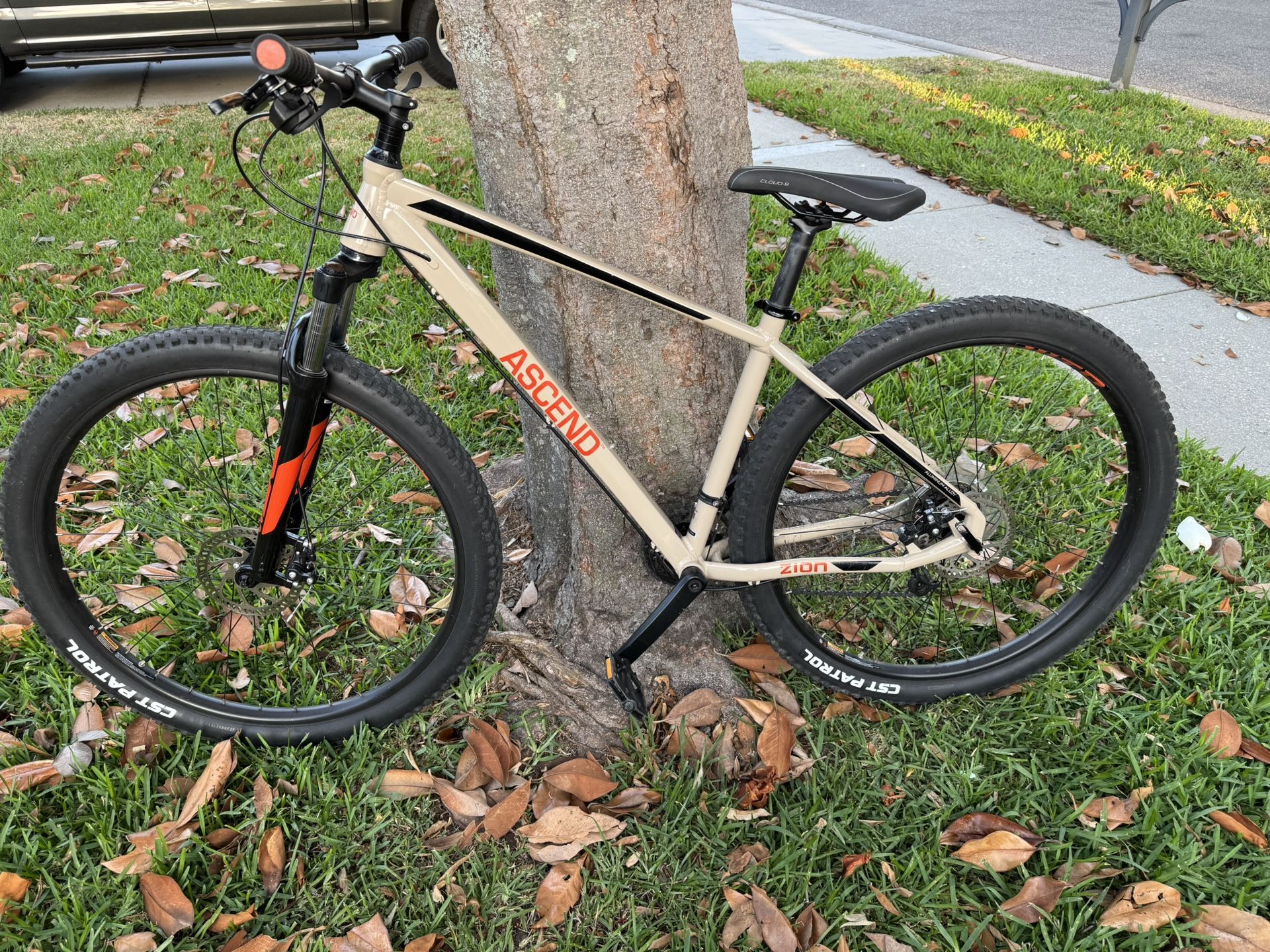 Men’s Ascend 29 inch mountain bike